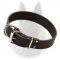 Leather Collar 1 1/2 inch Wide for Belgian Malinois