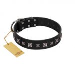"Polar Lights" Designer FDT Artisan Black Leather Belgian Malinois Collar with Silver-Like Studs