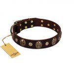 "Snazzy Paws" FDT Artisan Brown Leather Belgian Malinois Collar Adorned with Conchos and Medallions