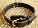 Belgian Malinois Two Ply Leather Dog Collar