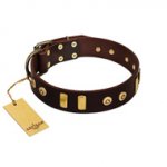 "Lord of Dogs" FDT Artisan Brown Leather Belgian Malinois Collar with Old Bronze-like Dotted Studs and Tiles