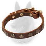 Belgian Malinois Studded Leather Dog Collar with Brass Half-Ball Studs