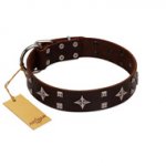 "Trendy Candy" FDT Artisan Brown Leather Belgian Malinois Collar Adorned with Stars and Tiny Squares