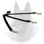 Nylon Belgian Malinois Leash for Walking with 3 Dogs