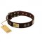 "Bow-Wow Effect" FDT Artisan Brown Leather Belgian Malinois Collar with Plates and Ornate Studs