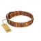 "Strike of Rock" FDT Artisan Tan Leather Belgian Malinois Collar with Plates and Medallions with Skulls