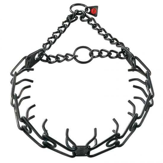 pinch collar for dogs