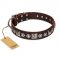 "Pierian spring" FDT Artisan Brown Leather Belgian Malinois Collar with Silvery Decorations