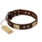 "Shining Armour" FDT Artisan Brown Leather Belgian Malinois Collar with Decorations