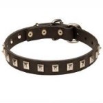 "Caterpillar" Belgian Malinois Leather Dog Collar