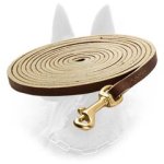 Quality Leather Belgian Malinois Leash for Tracking