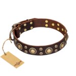 'Flower Melody' FDT Artisan Belgian Malinois Brown Leather Dog Collar with Mixed Studs