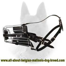 'No Mash' Basket Wire Dog Muzzle Perfect for Belgian Malinois