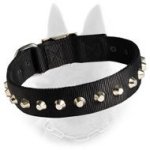 Belgian Malinois Nylon Dog Collar with Nickle Pyramids