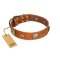 "Celtic Tunes" FDT Artisan Tan Leather Belgian Malinois Collar Adorned with Stars and Squares