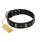 "Pirates' Symbol" Fashionable FDT Artisan Black Leather Belgian Malinois Collar with Silver-Like Plates and Gold-Like Skulls