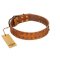 "Walk and Shine" FDT Artisan Tan Leather Belgian Malinois Collar with Antiqued Studs