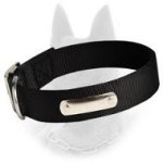 2 Ply Nylon Dog Collar With Name Tag For Belgian Malinois