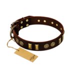 "Golden Elegance" FDT Artisan Brown Leather Belgian Malinois Collar with Old Bronze-like Decorations