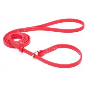 Durable Red Biothane Belgian Malinois Leash and Collar Combo