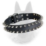 Belgian Malinois Spiked Leather Dog Collar with 2 Rows of Nickel Spikes