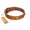 "Knights Templar" FDT Artisan Tan Leather Belgian Malinois Collar with Skulls and Crossbones Combined with Squares