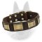 Stylish Belgian Malinois Leather Collar with Brass Plates Decoration