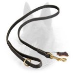 Handcrafted Belgian Malinois Leather Leash for Tracking