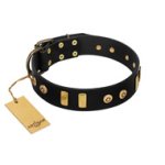 "Rare Dog" FDT Artisan Black Leather Belgian Malinois Collar with Old Bronze-like Dotted Studs and Tiles
