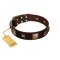 "Choco Dreams" FDT Artisan Brown Leather Belgian Malinois Collar with Squares and Stars
