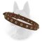 Belgian Malinois "Caterpilla" Brass Studs Leather Handcrafted Collar