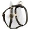Leather Belgian Malinois Harness for Walking, Training and Tracking