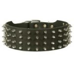 Leather Belgian Malinois Collar with Spike Decoration