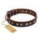 "Golden"n"Silver Luxury" FDT Artisan Leather Belgian Malinois Collar with Engraved Studs