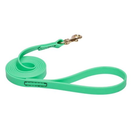 Green Waterproof Belgian Malinois Leash Made of Biothane