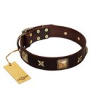 "Choco Dreams" FDT Artisan Brown Leather Belgian Malinois Collar with Squares and Stars