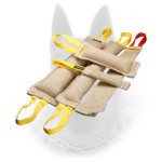 Adult Belgian Malinois Training Set and Amazing Gift