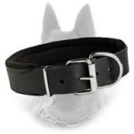Leather Dog Collar Padded With Thick Felt