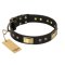 "Black Sun" FDT Artisan Leather Belgian Malinois Collar with Brass Plated Decorations