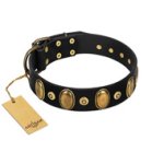 "Venerable Pawty" FDT Artisan Black Leather Belgian Malinois Collar with Old Bronze-like Ovals and Studs
