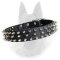 Belgian Malinois Spiked Leather Dog Collar with 3 Rows of Nickel Spikes