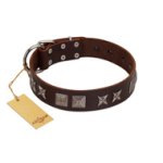 "Needle Stories" Modern FDT Artisan Brown Leather Belgian Malinois Collar with Square Engraved Plates and Four-Point Stars