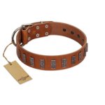 "Silver Century" Fashionable FDT Artisan Tan Leather Belgian Malinois Collar with Silver-Like Plates