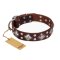 "King of Grace" FDT Artisan Stylish Leather Belgian Malinois Collar with Old Silver-Like Plated Decorations