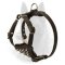 Spiked Leather Dog Harness for Belgian Malinois Puppies