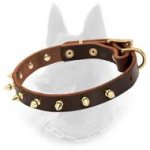 Belgian Malinois Spiked Leather Dog Collar with 1 Row of Brass Spikes