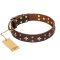 'High Fashion' FDT Artisan Embellished Brown Leather Belgian Malinois Collar