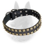 Belgian Malinois Leather Dog Collar Studded with Brass Square Pyramids