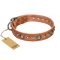 "Daily Chic" FDT Artisan Tan Leather Belgian Malinois Collar with Decorations