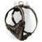 Extreme Agitation Belgian Malinois Dog Harness With Cool Barbed Wire Painting